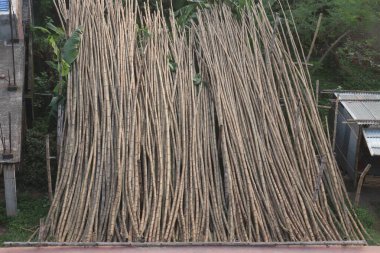 Satmak için kuru bambu stokları nakit ürünlerdir.