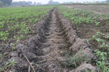 Su yolu, su geçişi için toprak kanalı görüntüsünü tarlaya yönlendirir.
