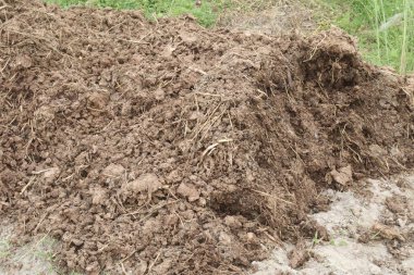 İyi mahsuller için tarlada gübre yığını