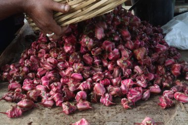 Water Chestnut Trapa natans fruit on shop for sell are cash crops.have sugars, fiber, vitamin B, potassium, copper, manganese, protein.can treat allergies, swelling of hands, feet, diarrhea, abdominal clipart