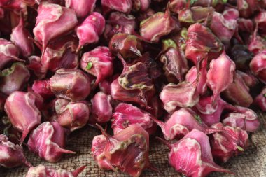 Su Kestanesi Trapa natan meyveleri satışta nakit ürünleridir.Şeker, lif, B vitamini, potasyum, bakır, manganez, protein, alerji, el, ishal, karın ağrısı gibi hastalıkları tedavi edebilir.
