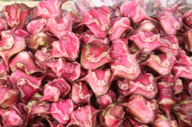 Su Kestanesi Trapa natan meyveleri satışta nakit ürünleridir.Şeker, lif, B vitamini, potasyum, bakır, manganez, protein, alerji, el, ishal, karın ağrısı gibi hastalıkları tedavi edebilir.