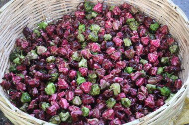 Su Kestanesi Trapa natan meyveleri satışta nakit ürünleridir.Şeker, lif, B vitamini, potasyum, bakır, manganez, protein, alerji, el, ishal, karın ağrısı gibi hastalıkları tedavi edebilir.