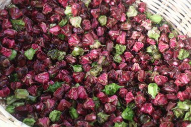 Su Kestanesi Trapa natan meyveleri satışta nakit ürünleridir.Şeker, lif, B vitamini, potasyum, bakır, manganez, protein, alerji, el, ishal, karın ağrısı gibi hastalıkları tedavi edebilir.