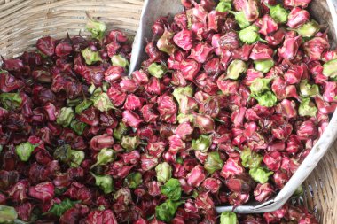 Su Kestanesi Trapa natan meyveleri satışta nakit ürünleridir.Şeker, lif, B vitamini, potasyum, bakır, manganez, protein, alerji, el, ishal, karın ağrısı gibi hastalıkları tedavi edebilir.