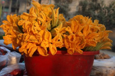 Bal kabağı çiçeği satışta iyi yiyecek ve nakit ürünleri var.