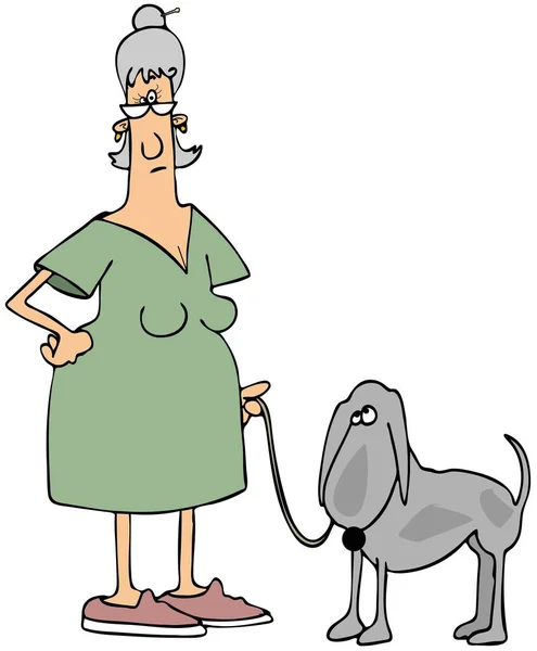 一个老年妇女用皮带牵着她的灰色斑纹的狗的图片 免版税图库图片