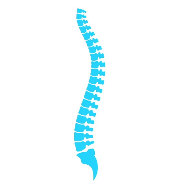 Spine Column Vector Icon — Stock Vector