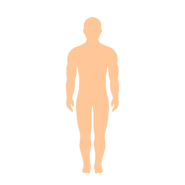 Silhouette Corps Masculin Athlétique Musculaire — Image vectorielle
