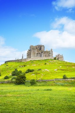 Cashel Kayası ve Antik İrlanda Kalesi