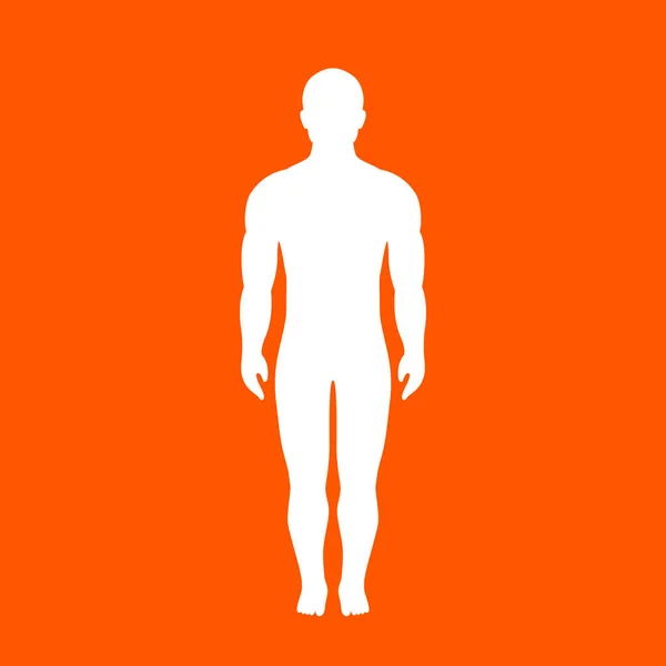 人体载体轮廓 — 图库矢量图片