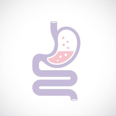 Digestive tract vector icon