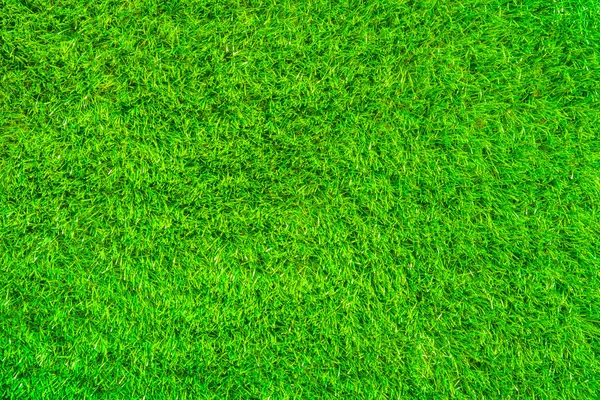 Grönt Gräs Fält Naturlig Bakgrund — Stockfoto