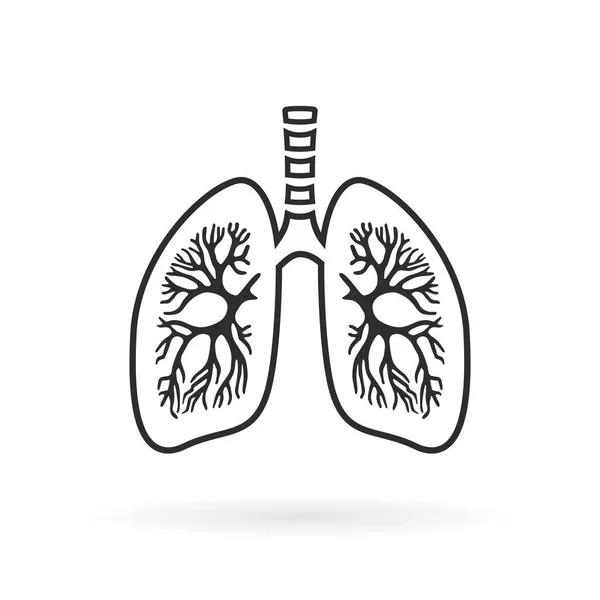 Human Lungs Anatomy Line Icon — Stock Vector
