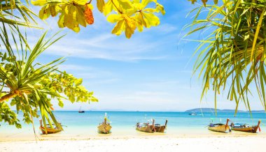 Phi Phi Adası, Tayland 'daki tropik plaj