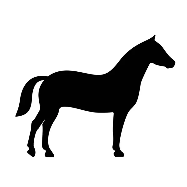 Ícone Vetor Silhueta Cavalo —  Vetores de Stock