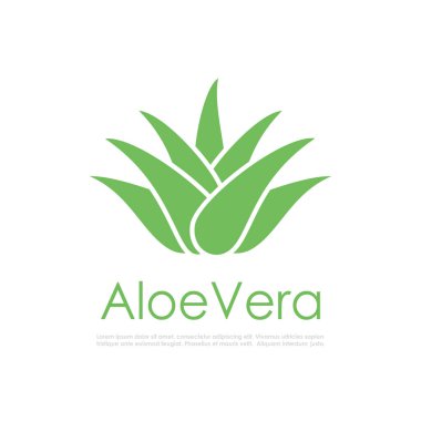 Aloe vera bitki vektör simgesi