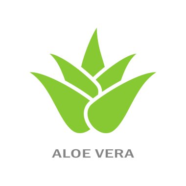 Aloe vera vektör simgesi