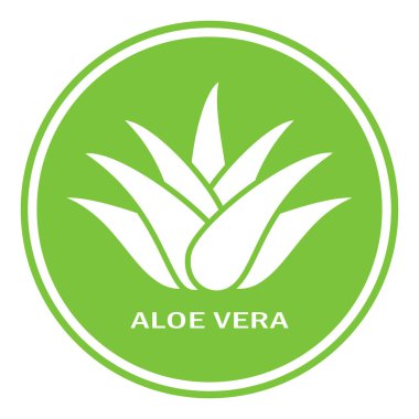 Aloe vera green icon clipart