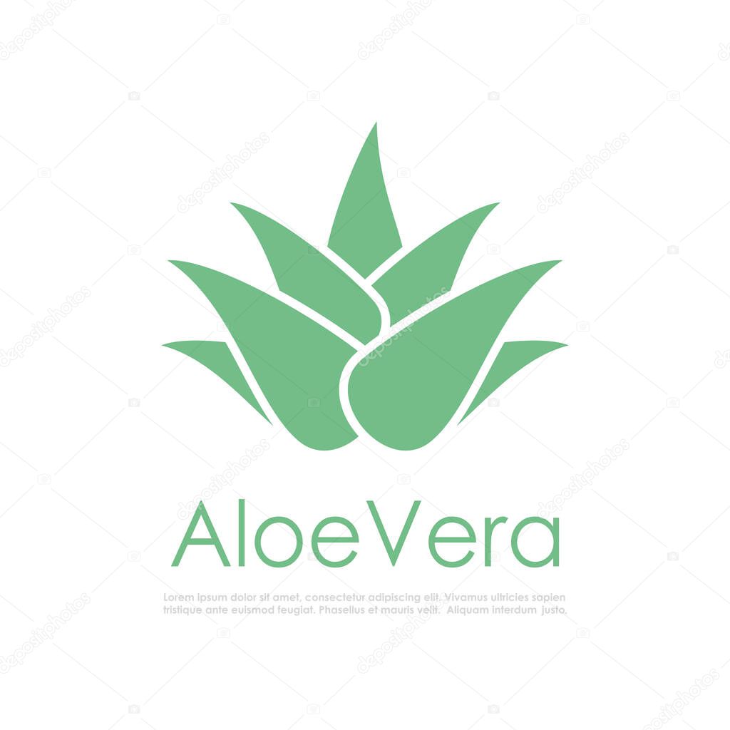 Vera plant vector icon isolated on white background