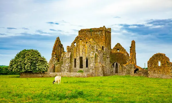 爱尔兰风景与荷尔修道院古城堡遗址 爱尔兰 — 图库照片#