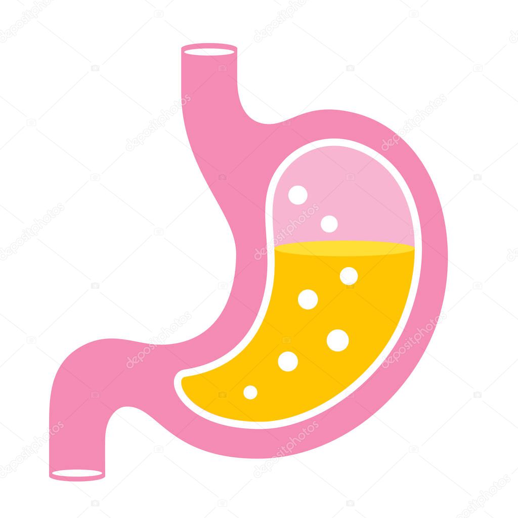 Human stomach organ vector icon isolated on white background