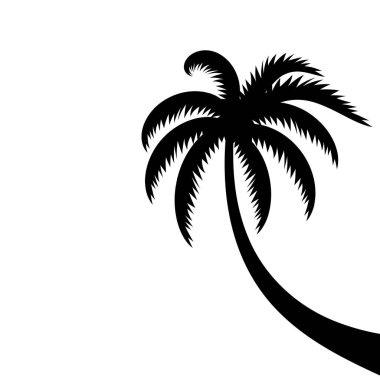 Beyaz arkaplanda izole edilmiş palmiye ağacı vektörü simgesi