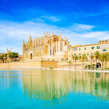 Cathedral la seu palma de Mallorca, İspanya