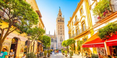 Seville Katedrali ve Giralda Kulesi, İspanya seyahat fotoğrafı 2025