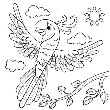 Uçan papağan çizgi filmi. Siyah beyaz çizgi çiziyor. Beyaz arka planda izole edilmiş. Çocuk boyama kitapları, baskılar, posterler, kartlar, çıkartmalar vesaire için. Vektör