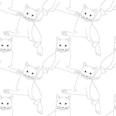 Kusursuz kedi deseni. Komik kedi geçmişi