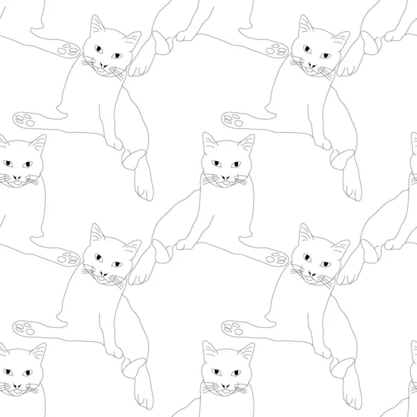 Seamless Cat Pattern Funny Cat Background — Stock Photo, Image