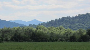 Yeşil bir tarla ve dağların güzel manzarası.