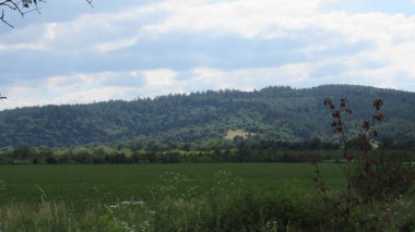 Yeşil bir tarla ve dağların güzel manzarası.
