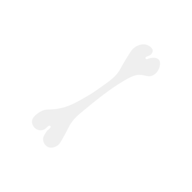 bir kemik çizgi film simgesi