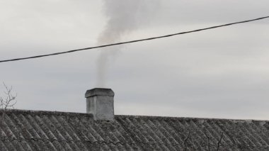 Duman bacadan çıkıyor. Evi odunla ısıtıyorsun.