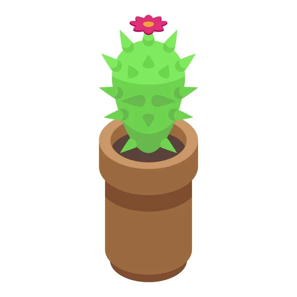 Icono Del Pote Cactus Vector Isométrico Hierba Del Desierto Planta — Vector de stock