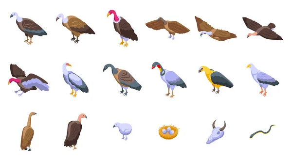 Icônes Vautour Ensemble Vecteur Isométrique Animal Oiseau Afrique Proie — Image vectorielle