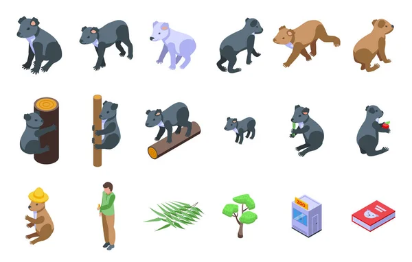 Ikony Koaly Nastavují Izometrický Vektor Australský Medvěd Líné Zvíře — Stockový vektor
