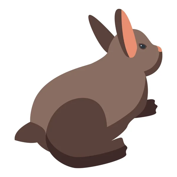 Польовий Великодній Кролик Ізометричний Вектор Милі Щасливі Тваринний Подарунок — стоковий вектор