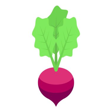 Turp çinko ikon izometrik vektörü. Besin takviyesi. Kalsiyum sağlığı