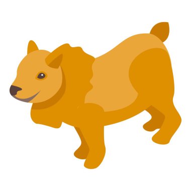 Tatlı temiz köpek ikonu izometrik vektörü. Spa tımarı. Banyo yıkama.