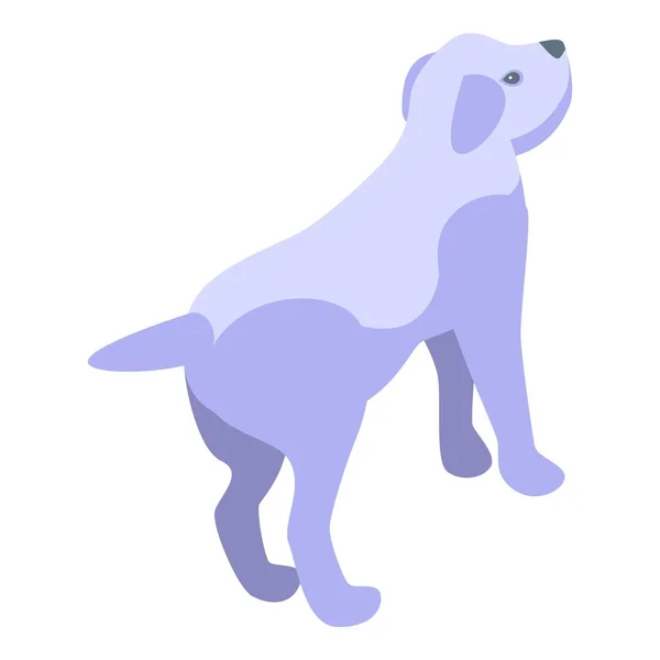 Lave Ícone Cachorro Branco Vetor Isométrico Spa Para Cães Chuveiro — Vetor de Stock