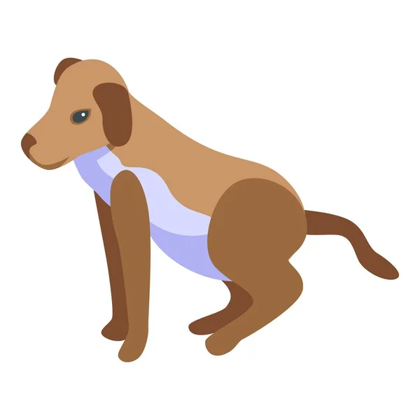 Köpeği Spa Ikonu Izometrik Vektörü Tımar Banyosu Evcil Hayvan Duşu — Stok Vektör