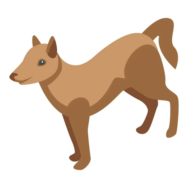 Shiba Hond Pictogram Isometrische Vector Kuuroord Verzorgen Wassen Puppy — Stockvector