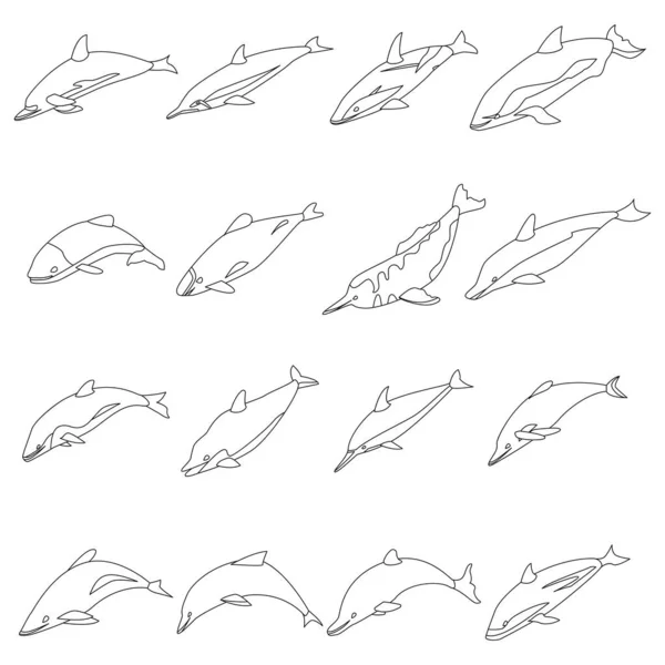Icone Dei Delfini Impostate Serie Isometrica Icone Vettoriali Delfini Delineano — Vettoriale Stock