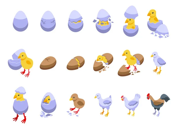 小鸡孵化器图标设置等量向量 鸡蛋Nest Baby — 图库矢量图片