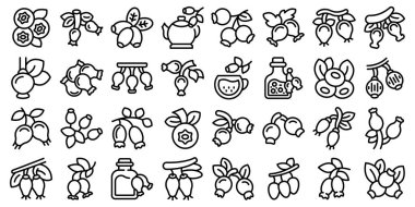 Rosehip simgeleri dış hat vektörünü ayarlar. Meyve suyu tarımı. Biyolojik diyet