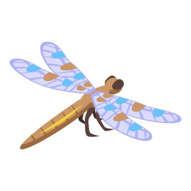 Noktalı yusufçuk ikonu izometrik vektörü. Kanat böceği. Yaz uçuşu