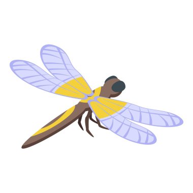 Moda yusufçuk ikonu izometrik vektörü. Kanat böceği. Yaz hatası